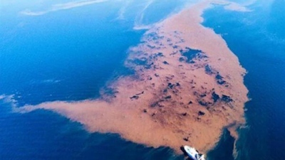 Κακοκαιρία Daniel: Δημιουργήθηκε νησίδα στον Παγασητικό από τα μπάζα της κακοκαιρίας