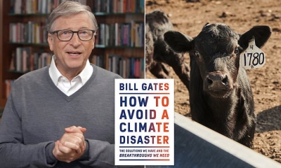 Επένδυση - μαμούθ Bill Gates για να περιορίσει το... ρέψιμο και τα αέρια των αγελάδων: 25 εκατ. δολ και πως θα... σώσει τον κόσμο