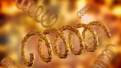 Ανατροπή στην ιατρική - Αρχαία ασθένεια «παρόμοια με τη σύφιλη» στο Βιετνάμ αμφισβητεί βασικές επιστημονικές παραδοχές