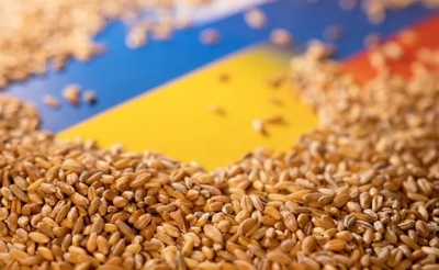 Για παγκόσμια διατροφική καταστροφή προειδοποιεί η Γερμανία - Όπλο στα χέρια του Putin η πείνα - Ρωσία: Η Δύση φταίει