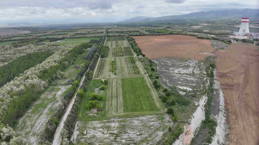 ΔΕΗ: Ιδρυτικό μέλος στην διεθνή πρωτοβουλία «Συμμαχία για τη Βιώσιμη Διαχείριση της Βιοποικιλότητας»