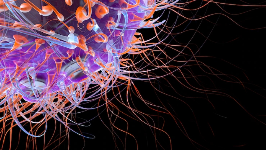 Λαμία: Έχασε την μάχη με τον κορωνοϊό 47χρονος επιχειρηματίας