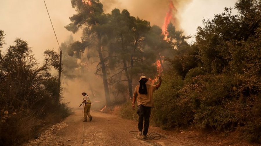 Συναγερμός στην Πυροσβεστική - Νέα φωτιά στην Εύβοια - Καίγεται δασική έκταση στο Θύμι Καρύστου