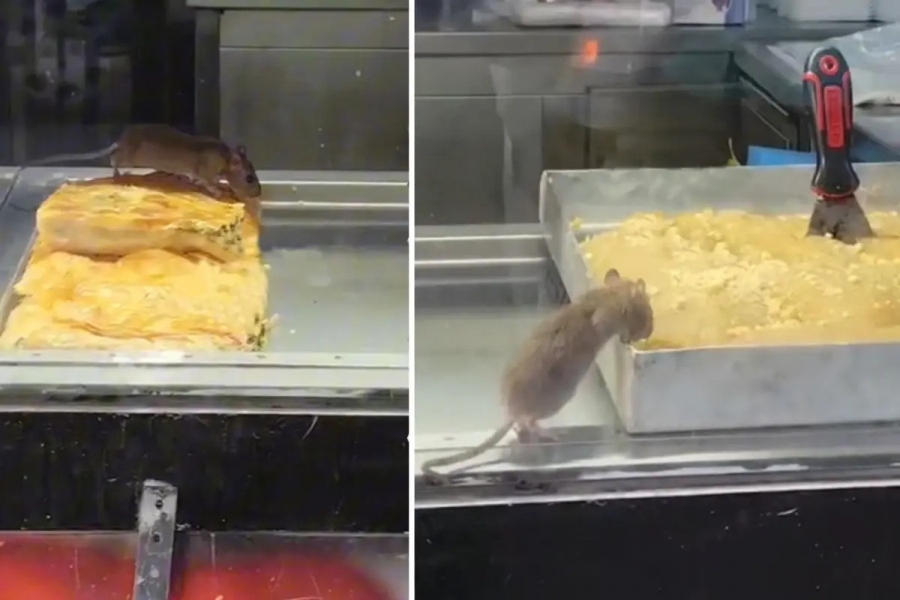 Υγειονομική βόμβα στην Τουρκία - Χαμός στα social media για… χορό ποντικιών πάνω σε μπουρέκια σε φημισμένο μαγαζί