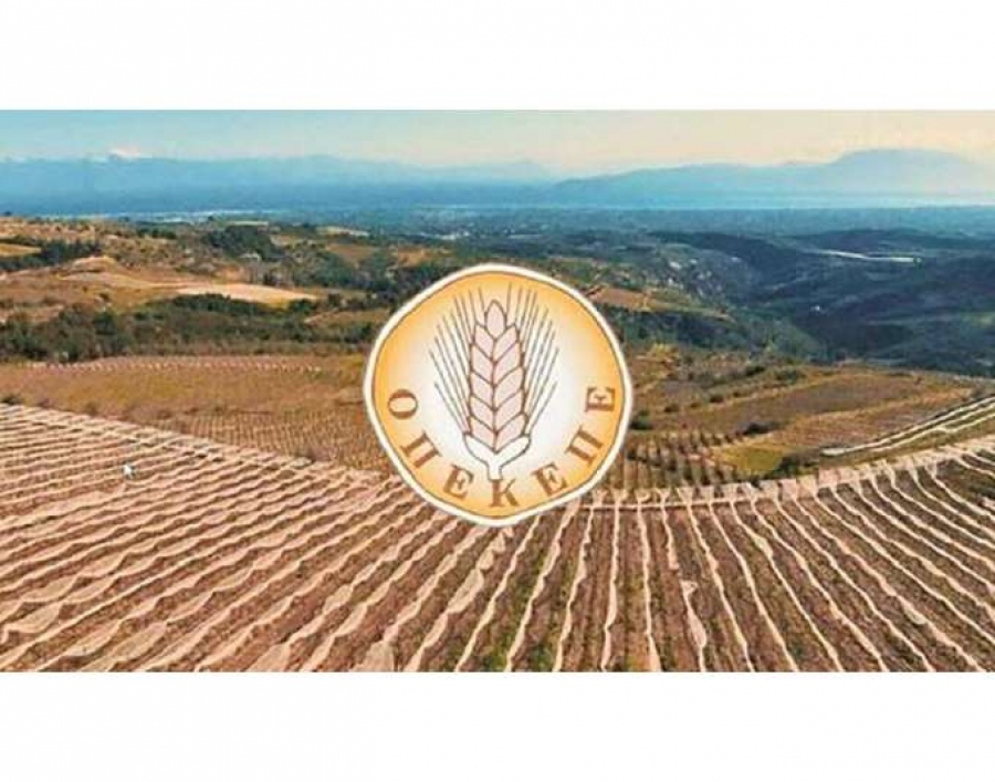 Σκάνδαλο ΟΠΕΚΕΠΕ: Ο Μητσοτάκης, μπροστά στον φόβο των διαρροών θα το βάλει στα... πόδια;