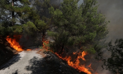 Δεν θα μείνει τίποτα: Πυρκαγιά στην Περιφερειακή του Αιγάλεω - Στις φλόγες ξανά το Ποικίλο Όρος - Φωτιά και στην Βοιωτία