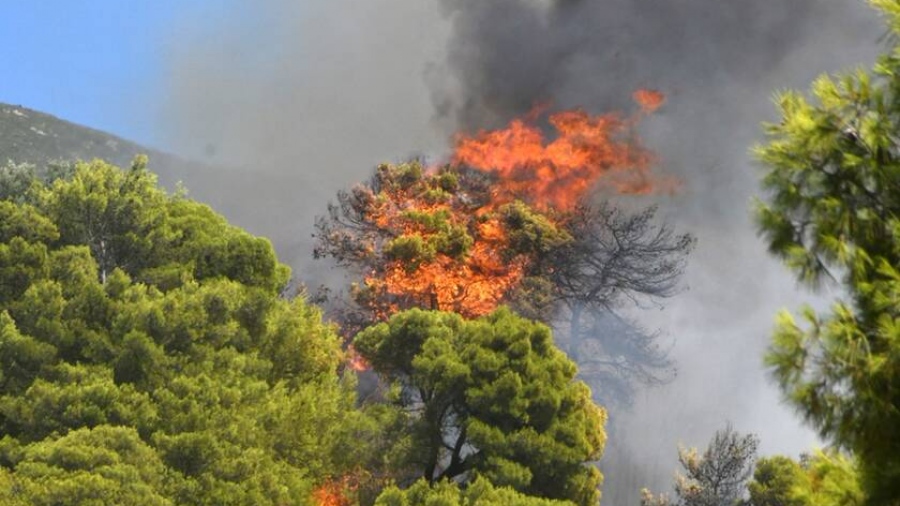 Πυροσβεστική: 41 δασικές πυρκαγιές εκδηλώθηκαν το τελευταίο εικοσιτετράωρο