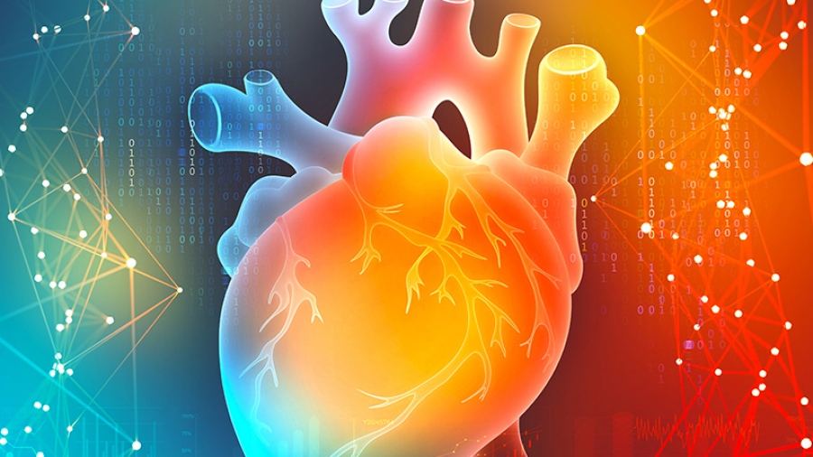 Μέθοδος TAVI για αντιμετώπιση στένωσης της αορτικής βαλβίδας, στο Metropolitan Hospital