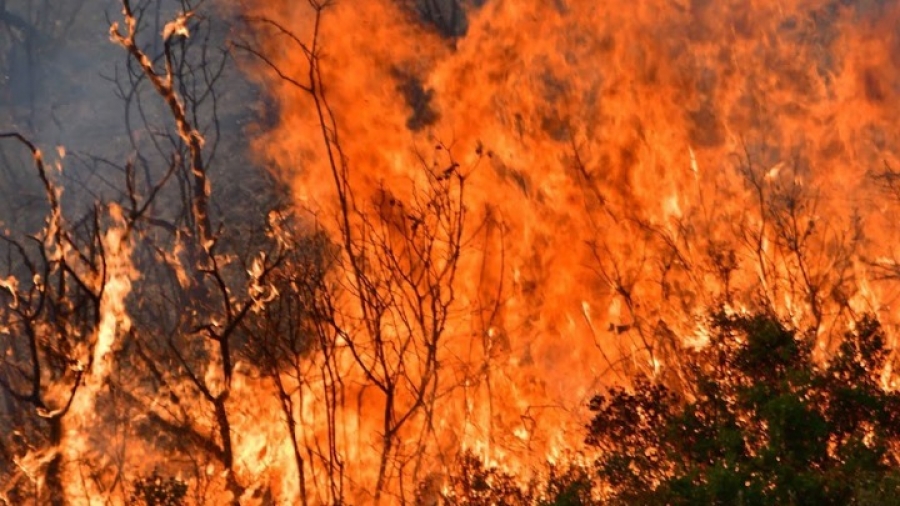Λαμπρόπουλος (Αντιπεριφερειάρχης Αρκαδίας)α: Παραμένει πάρα πολύ δύσκολη η κατάσταση στη Γορτυνία