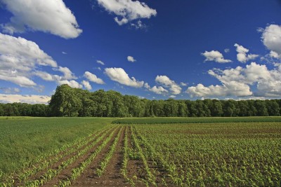 Πτώση 2,1% του δείκτη τιμών εκροών στη γεωργία - κτηνοτροφία τον Απρείλιο του 2020