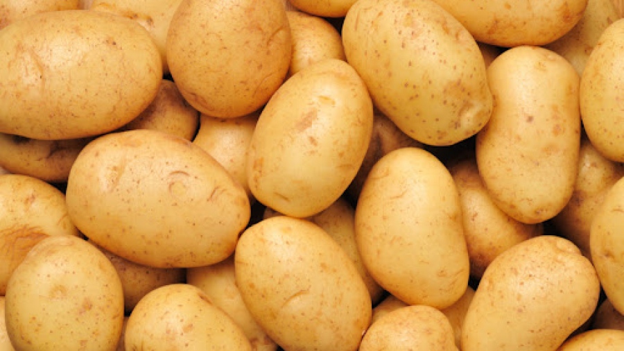 Λευκορωσία: Οι πατάτες προκαλούν... πολιτικά προβλήματα