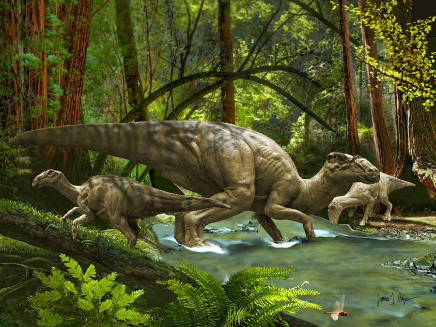 Ανεξήγητο θαύμα αρχαίας ζωής: Βρέθηκε αυγό δεινόσαυρου με έμβρυο, 83 εκατ. ετών!