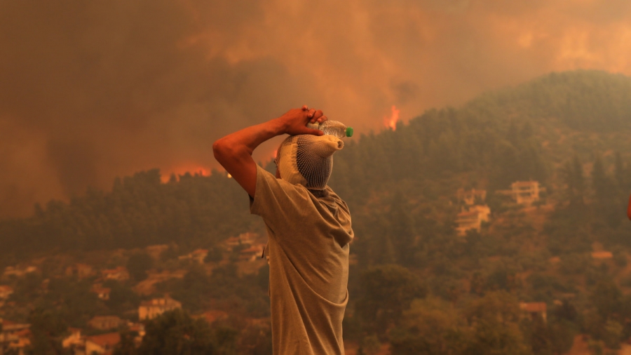 Πρωτοφανής καταστροφή, κάηκαν πάνω από 1 εκατ. στρέμματα - Νέα φωτιά σε δασική έκταση στην Εύβοια