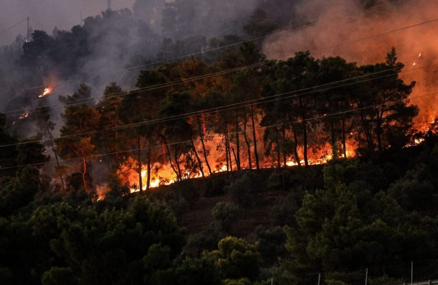 Ανεξέλεγκτη η πυρκαγιά  στην Αλεξανδρούπολη -  Κάηκαν σπίτια και αυτοκίνητα, αγωνιώδης εκκένωση 8 οικισμών, ώρες αγωνίας