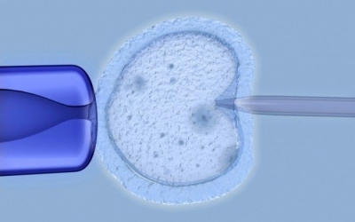 Εξωπραγματικό: Γεννήθηκαν δίδυμα από κατεψυγμένα έμβρυα ηλικίας... 30 ετών