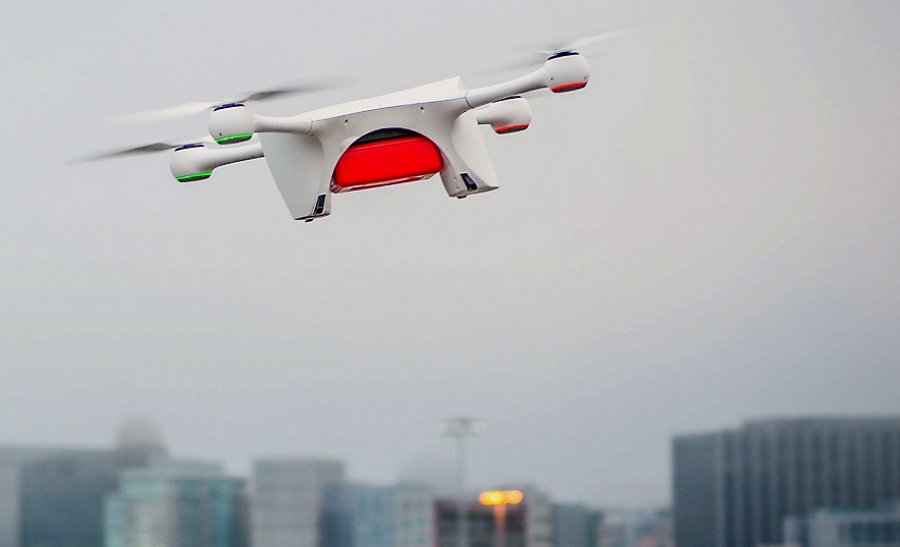 «Τρομερή» επιστράτευση drones στην Ευρώπη για… τα έντομα – Θα ψεκάζουν και φυτοφάρμακα!