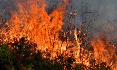Πυρκαγιά στην περιοχή της Αρχαίας Νεμέας