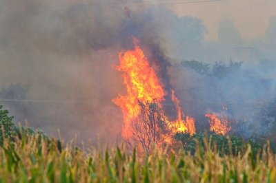 Υπό μερικό έλεγχο η πυρκαγιά στο Στεφάνι Κορινθίας χάρη στις προσπάθειες των πυροσβεστών