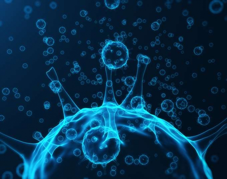 Καταγράφηκε ο πρώτος θάνατος από εποχική γρίπη, 72χρονη έχασε τη ζωή της