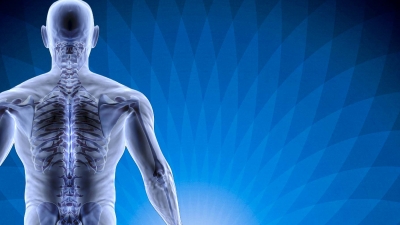 Αναγεννητική ιατρική, βιολογικές θεραπείες και Ψηφιακά Ρομποτικά Συστήματα: Σύγχρονη αντιμετώπιση ορθοπαιδικών παθήσεων