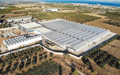 Δύο νέες εγκρίσεις για μονάδες καλλιέργειας, μεταποίησης και παραγωγής προίόντων φαρμακευτικών κάνναβης