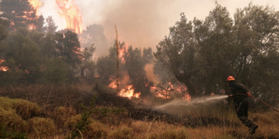Πυρκαγιά σε δασική έκταση στην περιοχή Μαυροβούνι στα Μέγαρα Αττικής