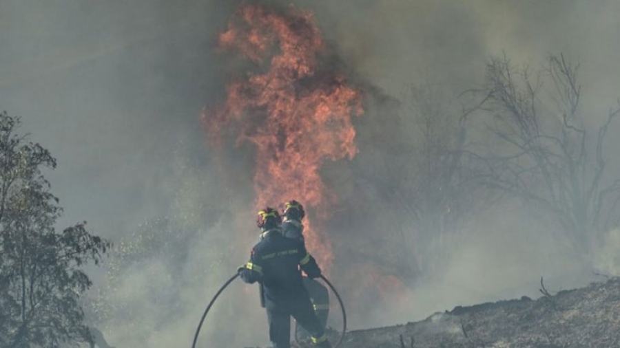 Μεγάλη φωτιά στην Πελεή Αργολίδας – Επιχειρούν 55 πυροσβέστες και 8 εναέρια μέσα