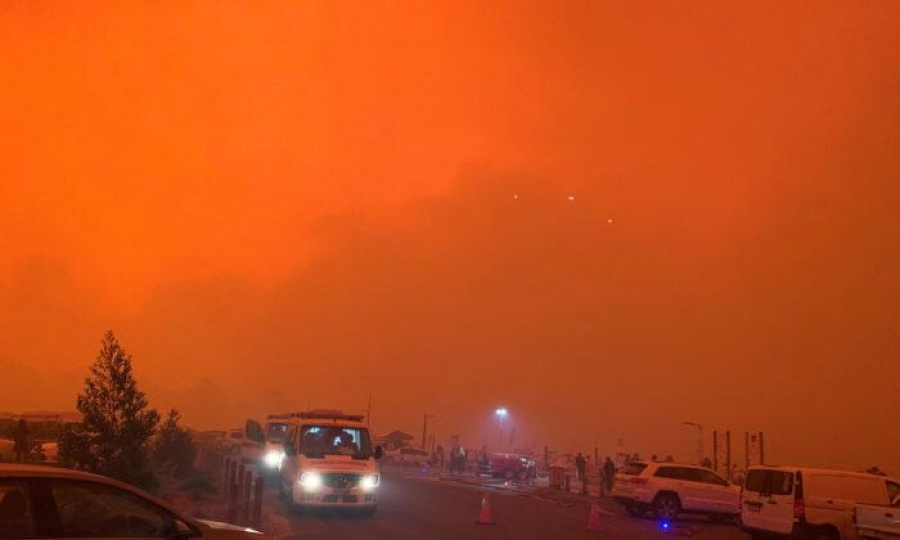 Αυστραλία: Οι πυρκαγιές κατέστρεψαν το ένα πέμπτο των δασών της με βάση έρευνες