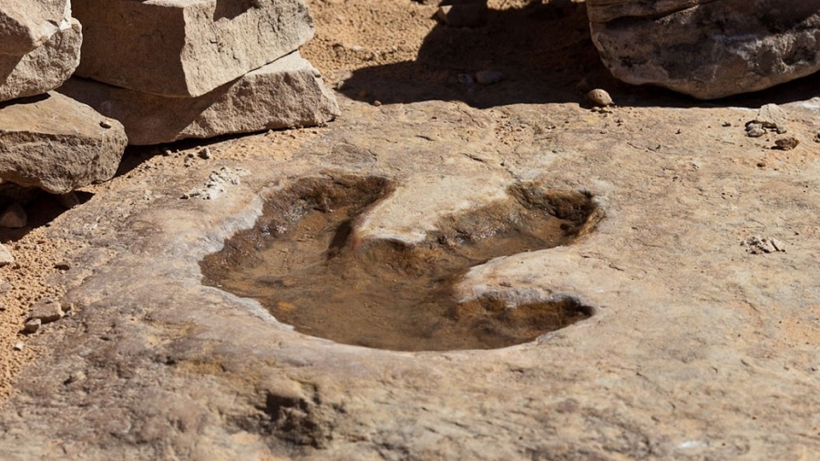 Ανατριχιαστική ανακάλυψη - Εργάτης αποκαλύπτει το μεγαλύτερο «νεκροταφείο» αποτυπωμάτων δεινοσαύρων στη Βρετανία