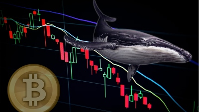 Ποιες είναι οι φάλαινες του Bitcoin και πώς να τις εντοπίσετε;