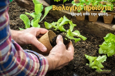 Αυξάνεται η παρουσία της Ελλάδας στην αγορά βιολογικών προϊόντων του Λονδίνου