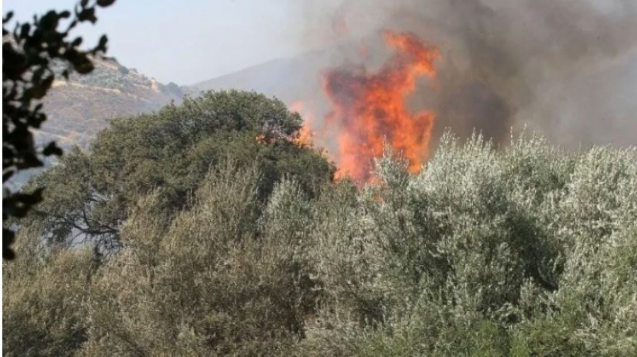 Λέσβος: Σε ύφεση η φωτιά στην περιοχή Βρίσα