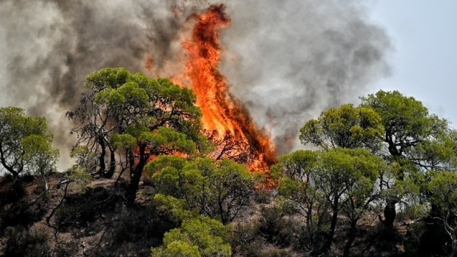 Ακραίος κίνδυνος πυρκαγιάς - Κατάσταση συναγερμού προβλέπεται για επτά περιφέρειες της χώρας