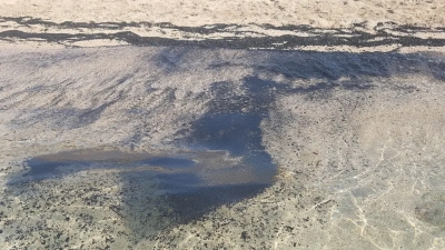 Φωτιά στην Εύβοια: Γέμισε με αποκαΐδια η παραλία στη Δροσιά Χαλκίδας