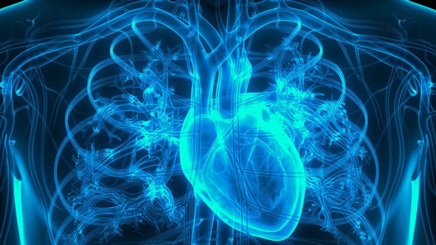 Κολπική Μαρμαρυγή: Τι πρέπει να γνωρίζουμε;