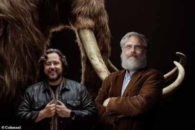 Επιστήμονες κλωνοποιούν... μαμούθ για να αντιστρέψουν την κλιματική αλλαγή!