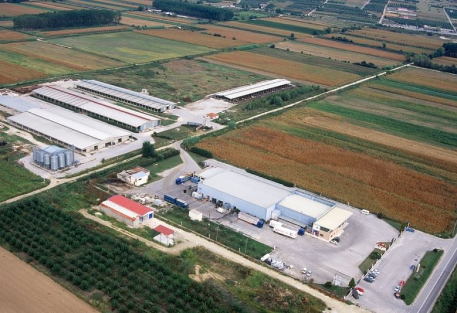 ΚΡΕΚΑ: Στο 5,702% το ποσοστό επί του συνόλου δικαιωμάτων ψήφου της Ljamcovik Mirjana