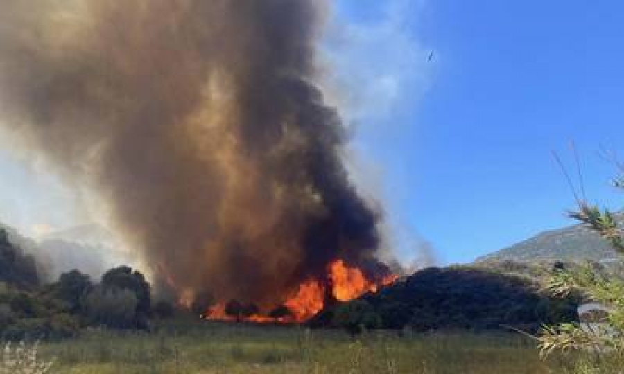 Υπό μερικό έλεγχο η φωτιά που ξέσπασε στον Αλίαρτο Βοιωτίας