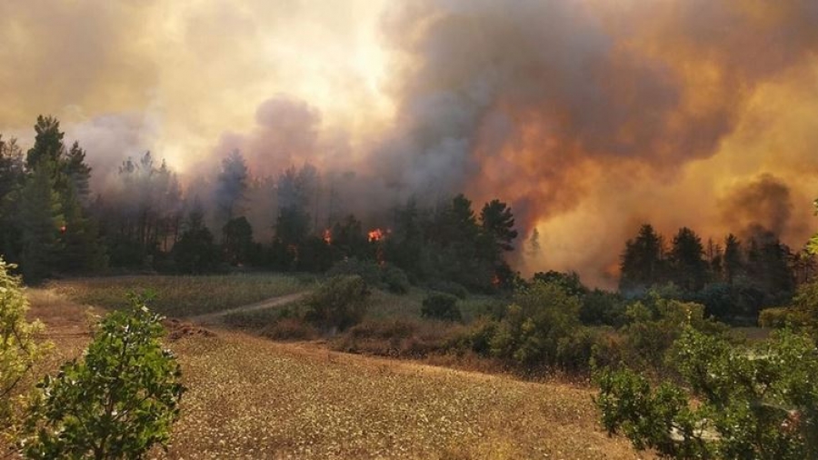 Φωτιά στην περιοχή Δρυάλια Λακωνίας - Σε ύφεση το πύρινο μέτωπο