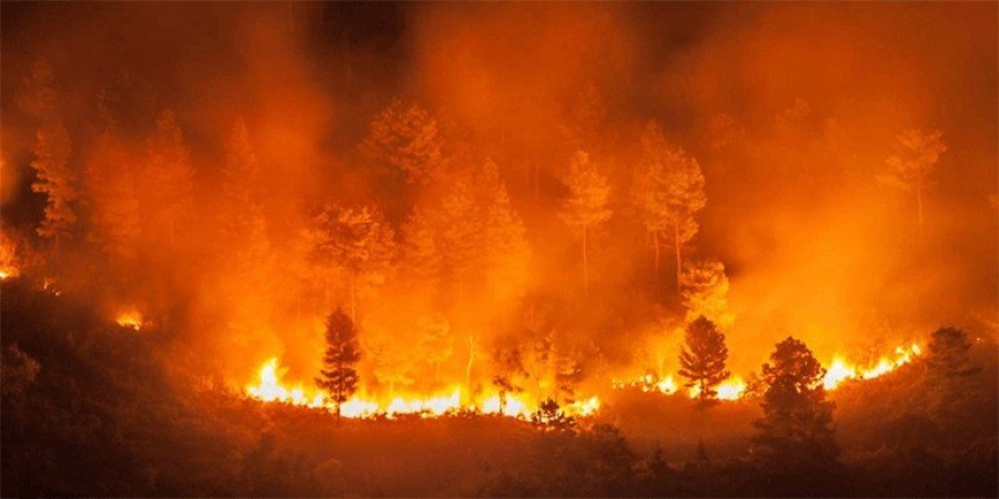 Βραζιλία: Προφυλακίστηκαν 4 εθελοντές πυροσβέστες για πυρκαγιές στον Αμαζόνιο