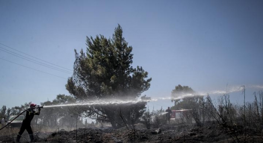 Υπό μερικό έλεγχο η πυρκαγιά στο άλσος Συγγρού