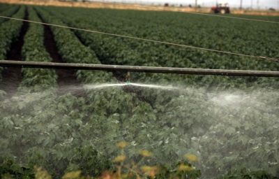 Ο Γιώργος Μπότας απαντά για τα 17 αγροτεμάχια «φαντάσματα» –  Νόμιμες οι επιδοτήσεις, τεχνικό πρόβλημα στην ΑΑΔΕ