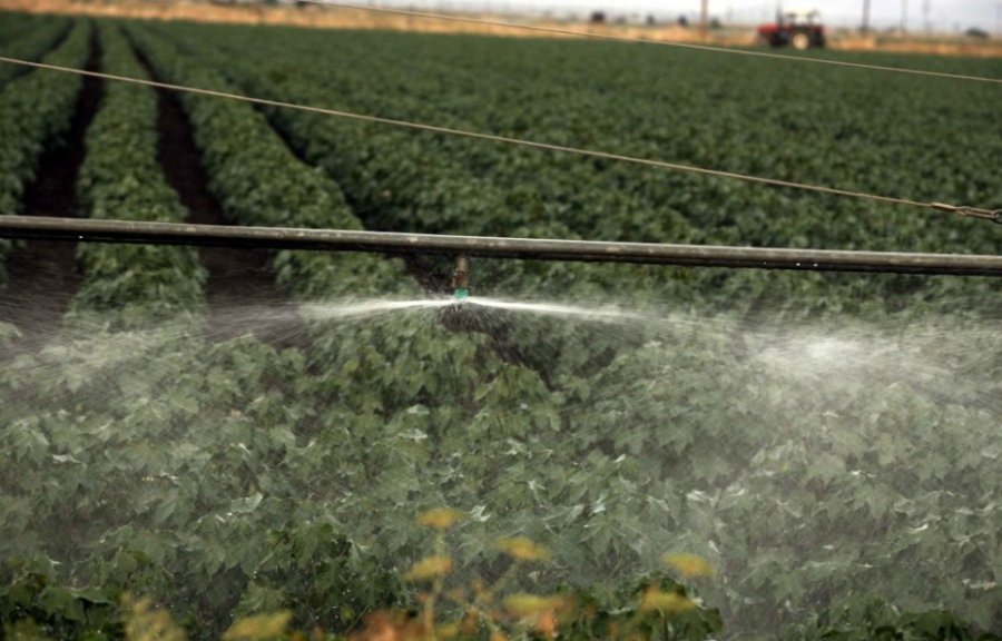 Ο Γιώργος Μπότας απαντά για τα 17 αγροτεμάχια «φαντάσματα» –  Νόμιμες οι επιδοτήσεις, τεχνικό πρόβλημα στην ΑΑΔΕ