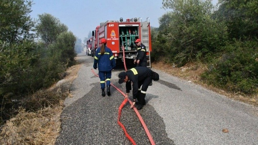 Υπό μερικό έλεγχο οι πυρκαγιές σε Τιθορέα Φθιώτιδας και Ηλεία -  36 φωτιές σε ολόκληρη τη χώρα