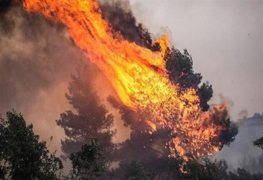 Φωτιά στο Αγρίνιο στην περιοχή Σκουτερά - Μεγάλη κινητοποίηση της Πυροσβεστικής