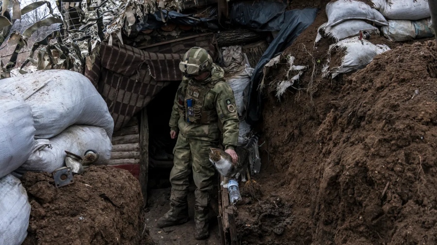 Μαϊμούδες στην πρώτη γραμμή - Πολεμικός ανταποκριτής περιγράφει τα παράξενα κατοικίδια των στρατιωτών