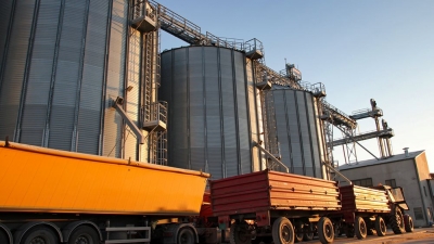 Επισιτιστική κρίση; Η Αίγυπτος αγοράζει 180.000 τόνους σιταριού από την Ινδία