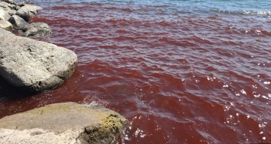 Ήρθε η συντέλεια! - Το σημάδι που αναφέρουν οι Γραφές - Τι λένε οι επιστήμονες