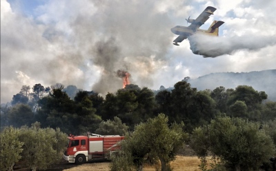 Θεσσαλονίκη: Οριοθετήθηκε η φωτιά σε δασική έκταση στον Χορτιάτη - Ξεκίνησε από μελίσσια