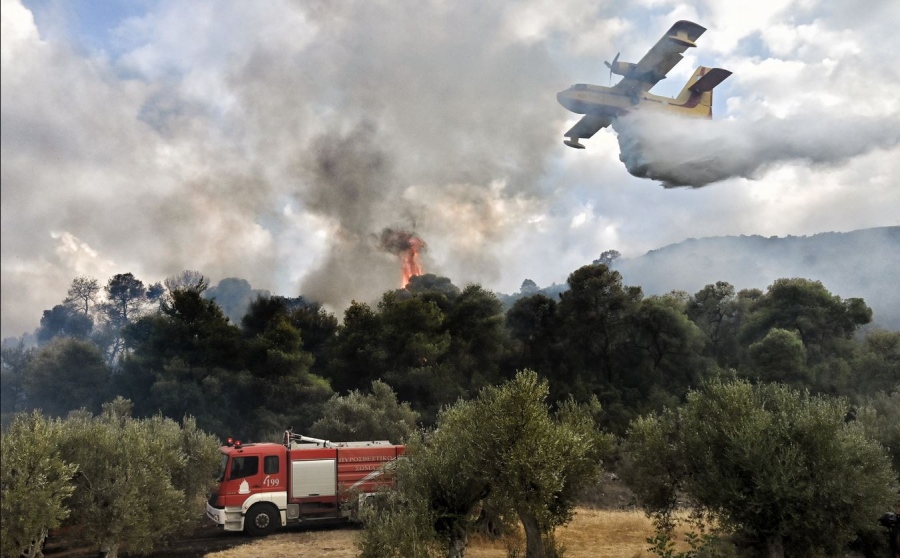 Θεσσαλονίκη: Οριοθετήθηκε η φωτιά σε δασική έκταση στον Χορτιάτη - Ξεκίνησε από μελίσσια